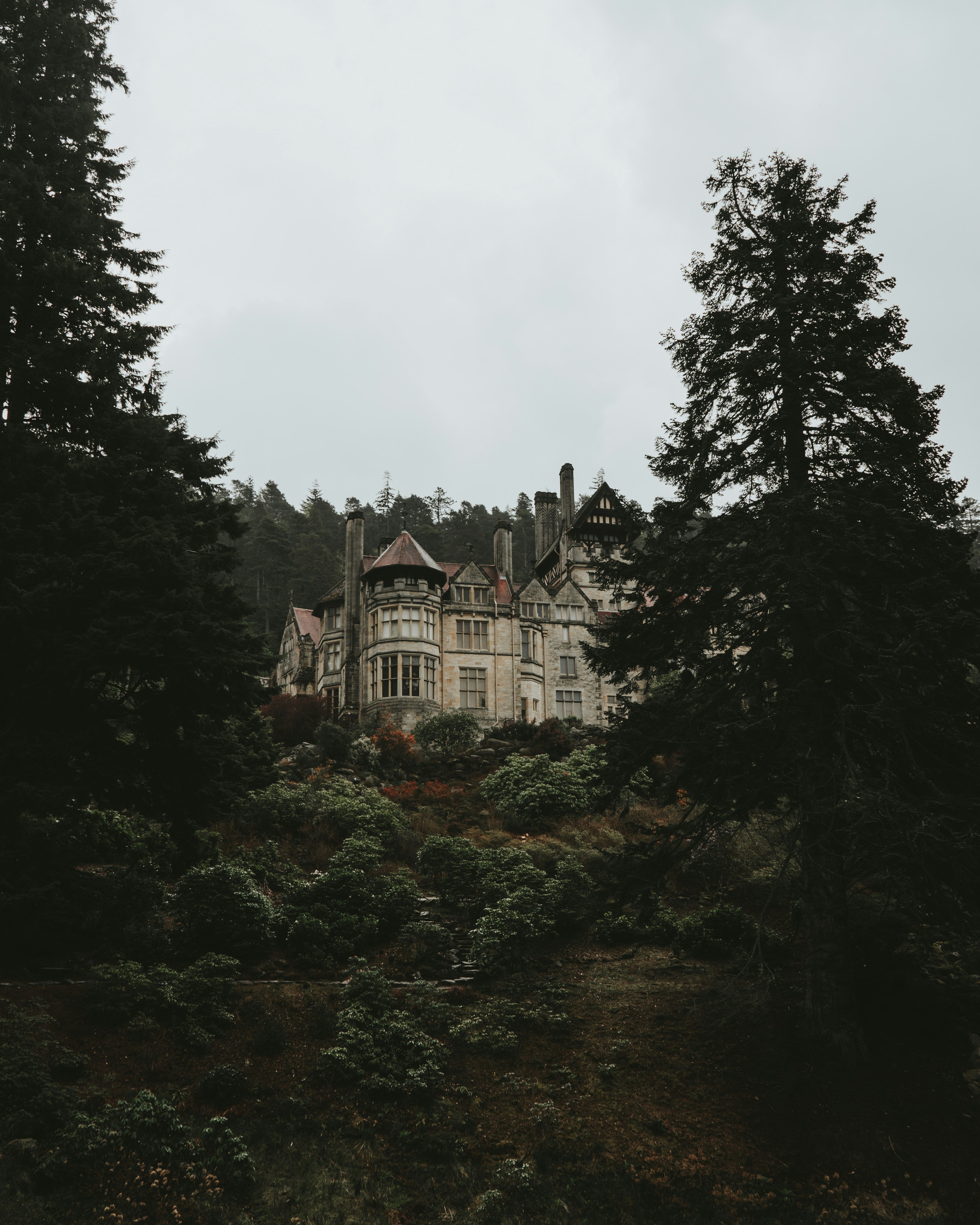 Family Detective Tour: Mystery of the Loire Castle